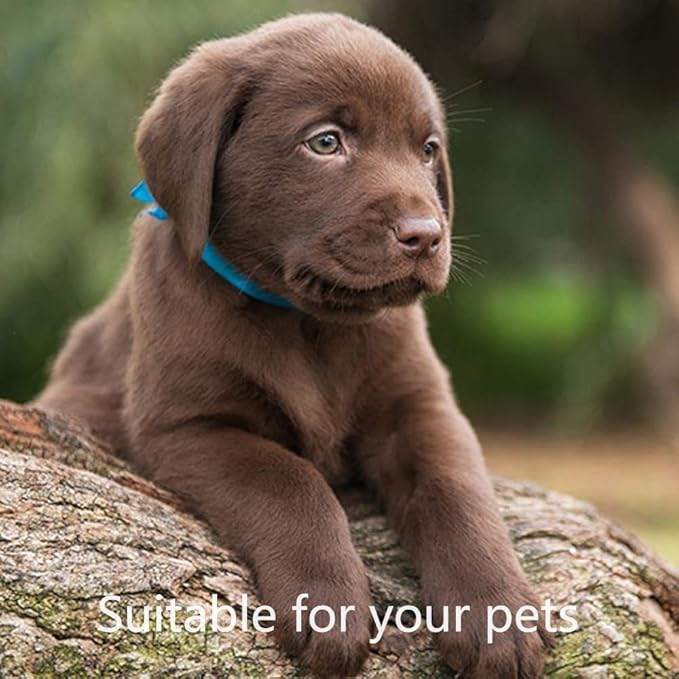 Nail File 57ct 100/180 Grit Emery Board Filer for Acrylic/Natural Fingernail