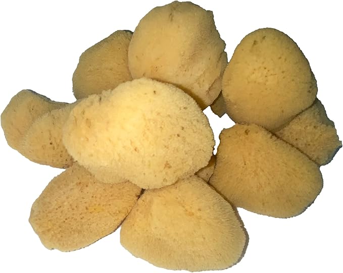 Soft Natural 12 Silk Sponges 1.5"-3" Cosmetic Makeup Application Removal Face Eye Nail Cleaning Like Cotton Balls Awesome Aquatic Creating The Perfect Bath & Shower (12 Pack 1.5"-3" Silk)