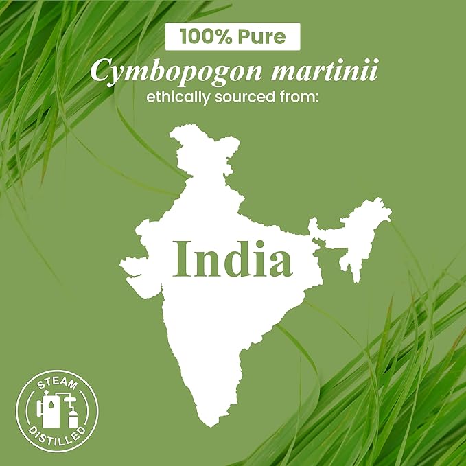 Handcraft Blends Palmarosa Essential Oil – 1 Fl Oz – 100% Pure and Natural – Premium Grade Essential Oil for Diffuser and Aromatherapy, Skin, Massage, Candle and Soap Making Fragrance