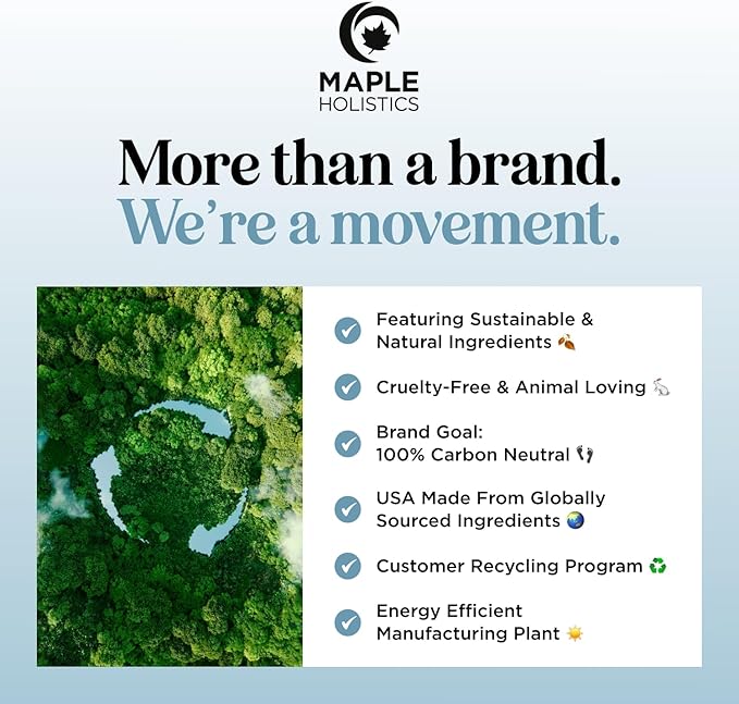 Breathe Essential Oil Roll On - Aromatherapy Essential Oil Roller with Invigorating Essential Oils - Refreshing Essential Oil Blend with Eucalyptus Peppermint Spearmint & Tea Tree Oils (2 Pack)