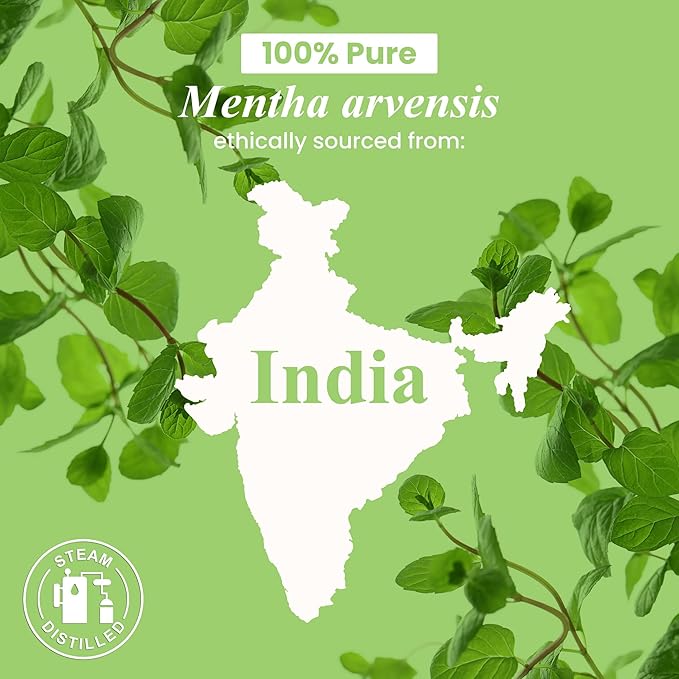 Handcraft Blends Organic Peppermint Essential Oil – 1 Fl Oz – 100% Pure and Natural – Premium Grade Essential Oil for Diffuser and Aromatherapy