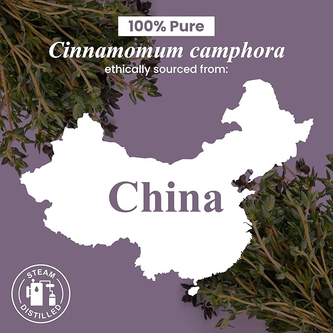 Handcraft Blends Camphor Essential Oil – Huge 4 Fl Oz – 100% Pure and Natural – Premium Grade Essential Oil for Diffuser and Aromatherapy, Skin, Massage, Candle and Soap Making Fragrance