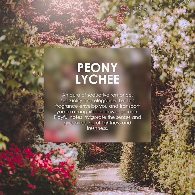 Jean & Len Scent Experience Travel Set, Peony Lychee, Rosemary Ginger & Cardamom Tonka EDT, all three scents in one practical mini perfume set, minimalistic glass bottles, 1x Set