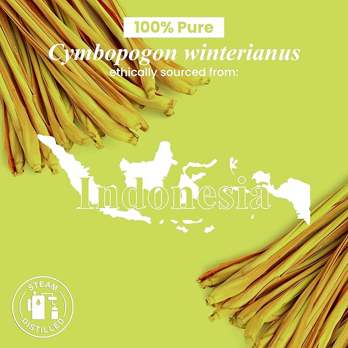 Handcraft Blends Citronella Essential Oil – 1 Fl Oz – 100% Pure and Natural – Premium Grade Essential Oil for Diffuser and Aromatherapy, Skin, Massage, Candle and Soap Making Fragrance