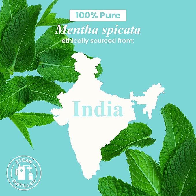 Handcraft Blends Spearmint Essential Oil – 1 Fl Oz – 100% Pure and Natural – Premium Grade Essential Oil for Diffuser and Aromatherapy, Skin, Massage, Candle and Soap Making Fragrance