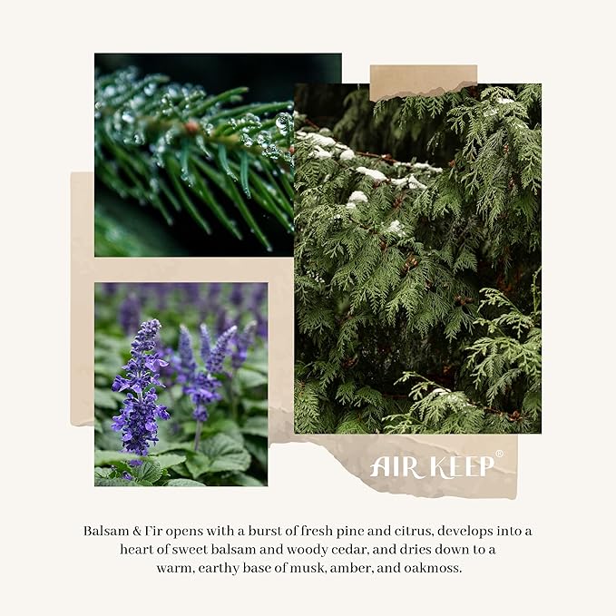 Airkeep Reed Diffuser,6.76 fl oz Balsam & Fir Home Fragrance Diffuser Set Includes 8 Reed Diffuser Sticks, Fragrance Oil Diffuser - Aromatherapy Diffuser Home Bedroom Office Decor & Gift