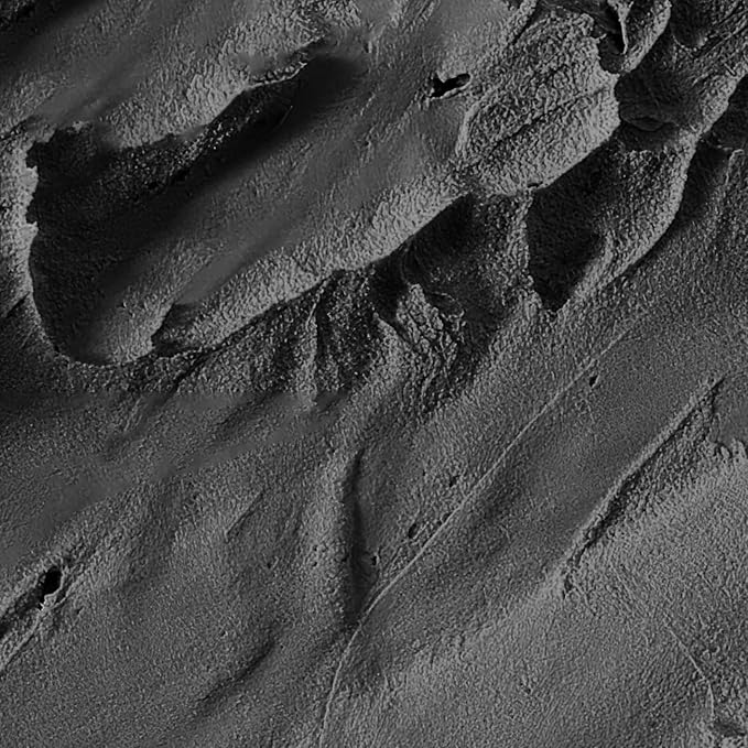 VOLLUCK Hairline Powder Instantly, Root Touch up Powder Hair Color Upgraded, Grey Root Cover up Conceals Hair Loss, Hairline Shadow for Women & Men for Thinning Hair Natural, Sweatproof (Black)