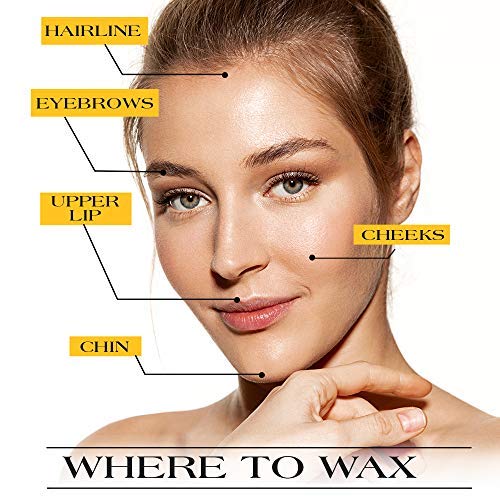 GiGi Facial Honee Wax - Hair Removal Wax for Face and Sensitive Skin, 8 oz