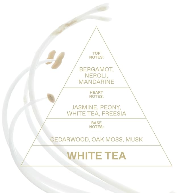 KORRES Eau De Toilette, White Tea Fragrance Spray, Unisex Perfume With Bergamot, Neroli, Mandarin Zest, Dewy White Tea Leaves And Soft Cedarwood, Light Floral Green Scent For Women And Men, 1.69 Fl Oz