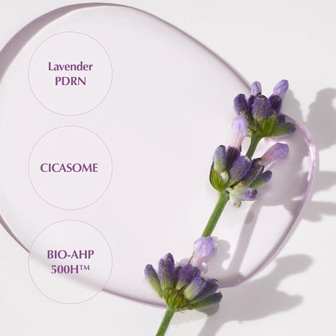 KAINE Lavender PDRN Revitalizing Toner | Hydrating, Soothing, and Supporting Skin Barrier for Dull, Dry, and Irritated Skin | Korean Skincare (300ml / 10.14 fl. oz.)