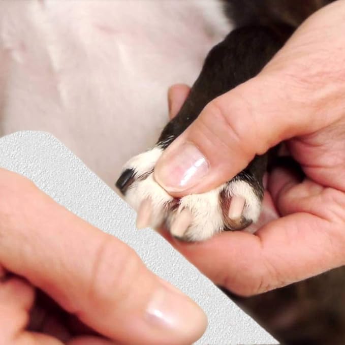 40pcs Wooden Nail Files 180/240 Grit for Natural Nail, Bending Without Breaking