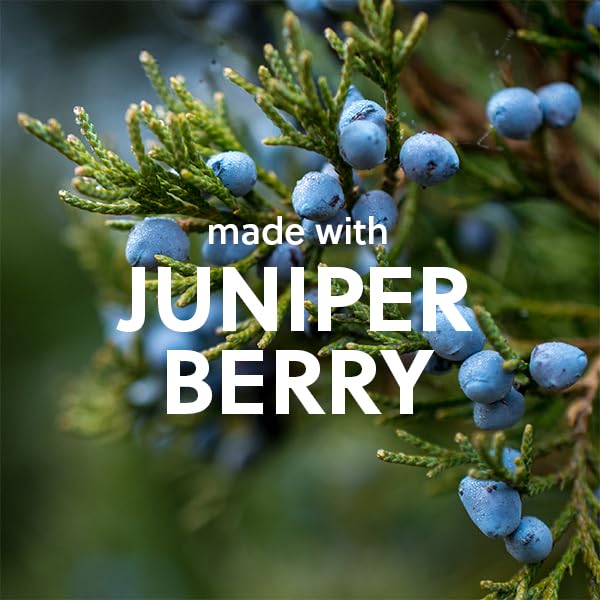 Tree Hut Blue Musk Foaming Gel Wash, Hydrating & Moisturizing Body Wash with Shea Butter & Nourishing Essential Oils, Daily Cleanser for Soft Smooth Skin, 18 fl oz