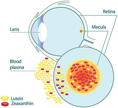 EyePromise Restore Eye Health Supplement - 60 Softgels, 30-Day Supply - Omega 3 Supplement with Zeaxanthin, Lutein, Fish Oil, EPA, DHA & Vitamins for Eye Health