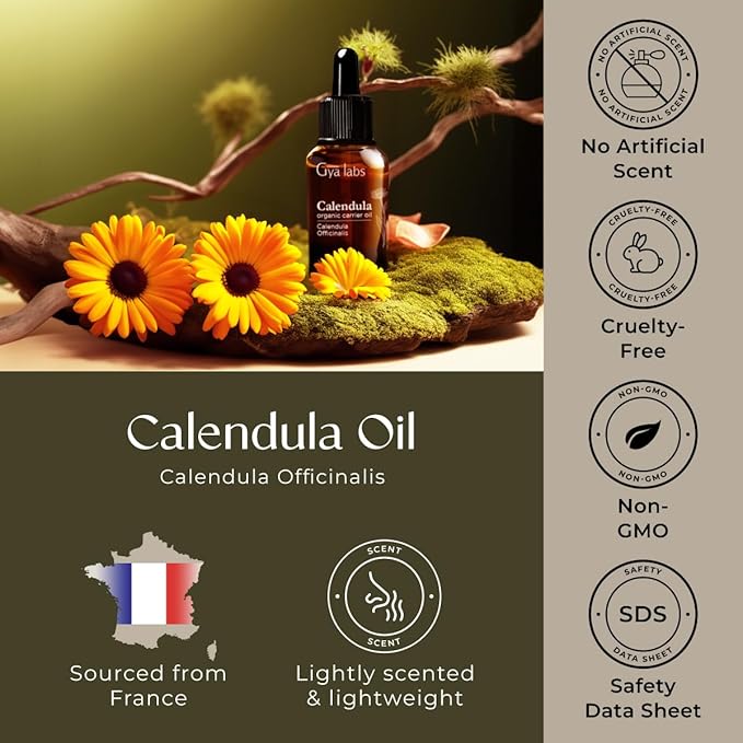Gya Labs Calendula Carrier Oil - 1 Fl Oz - for Hair, Skin, Face, Scalp & Body Massage