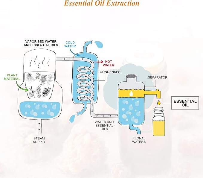 Mumianhua Myrrh Essential Oil 100% Pure Earthy Balsamic Aroma Natural Myrrh Oil for Diffuser, DIY Skincare, Wrinkle, Hair, Beard Oil & Candle Making,Office Wellness 0.33 Fl Oz