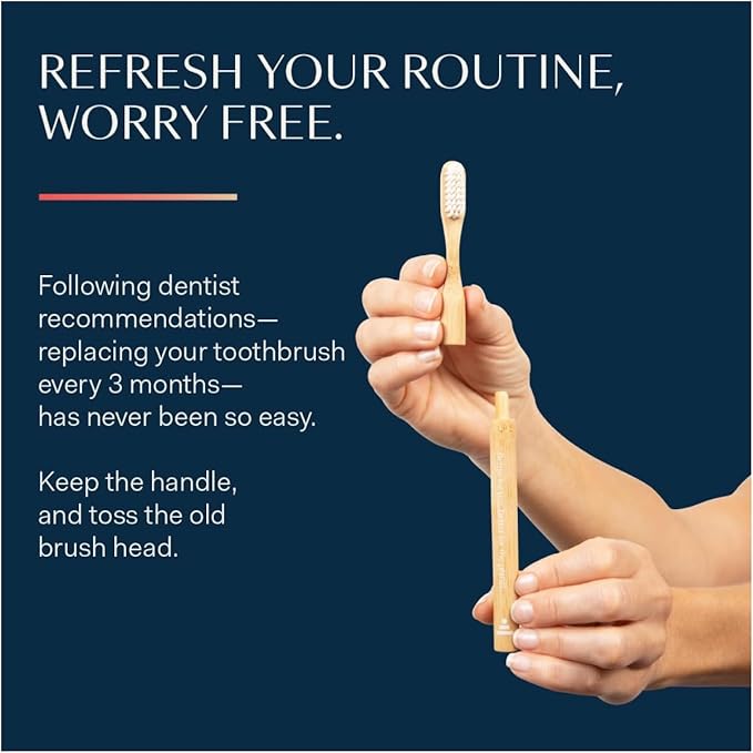 Better & Better Natural Bamboo Toothbrush | Soft Bristles | 100% Plant-Based | Reusable Handle and Replaceable Brush Head | Eco-Friendly, Zero Plastic | Adult Size, White