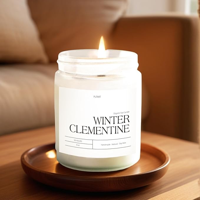 Winter Clementine Scented Candles for Home, 9oz Natural Soy Wax Aromatherapy Organic Citrus Candle for Stress Relief, Long Burning & Lasting Jar Candle Gifts for Christmas, Winter, Holiday