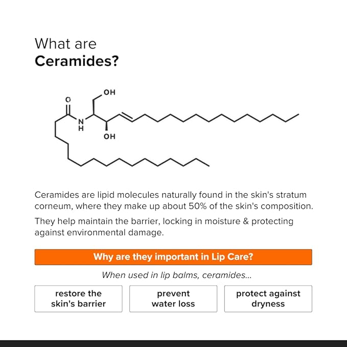 Minimalist Ceramide Lip Balm | With Hyaluronic Acid to Hydrate & Repair Chapped Lips | Provides Protection from the Sun | 0.28 Oz / 8 gm