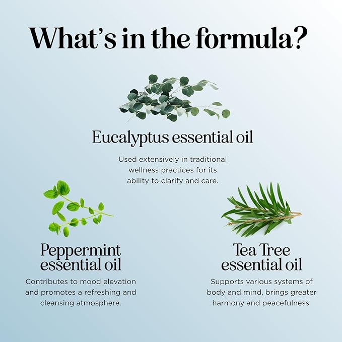 Breathe Essential Oil Roll On - Aromatherapy Essential Oil Roller with Invigorating Essential Oils - Refreshing Essential Oil Blend with Eucalyptus Peppermint Spearmint & Tea Tree Oils (1 Pack)