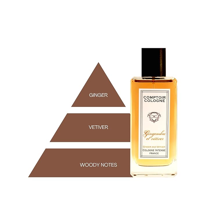 Ginger and Vetiver Intense - Sparkling Top Notes of Bergamot Mixed with Spicy Peppery Notes - Long-Lasting Mens Cologne - 3.3 oz