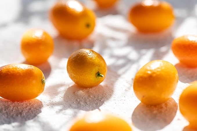 KORRES Eau de Toilette, Cashmere Kumquat Fragrance for Women and Men, Citrus Floral Woody Perfume with Orange Blossom, Vanilla & Cedarwood, Inspired by Greek Island Scents, 1.69 Fl Oz