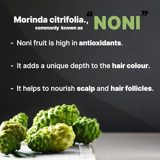 Hair Color Shampoo - Ammonia Free, 20ml x 06 Sachets, Natural Black Permanent Hair Dye for Men and Women, Noni Fruit Hair Dye, 5 Minutes Hair Color