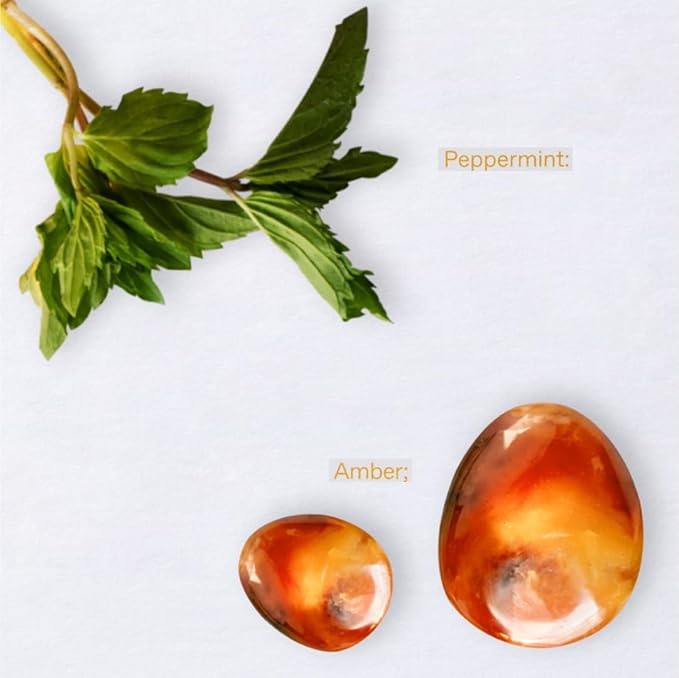 KORRES Eau de Toilette, Oceanic Amber Fragrance Spray, Unisex Perfume with Amber, Peppermint, Cardamom, Cedar & Black Pepper, Apple Blossom Accents, Fougere-Ambery Scent for Women and Men, 1.69 Fl Oz