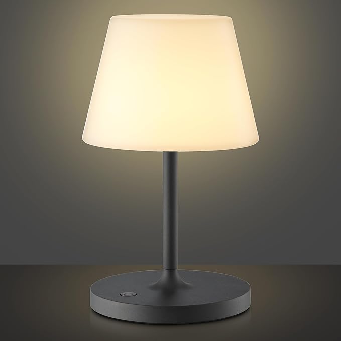 Cordless Lamp, 5000mAh Battery Operated Rechargeable Table Lamp with Power Bank, Touch Dimmable 3 Color Temperatures, IP44 Waterproof Shower Lamp for Kitchen, Bathroom, Indoor Or Outdoor Use 9.6in