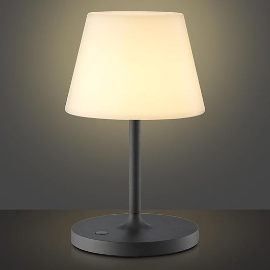 Cordless Lamp, 5000mAh Battery Operated Rechargeable Table Lamp with Power Bank, Touch Dimmable 3 Color Temperatures, IP44 Waterproof Shower Lamp for Kitchen, Bathroom, Indoor Or Outdoor Use 9.6in