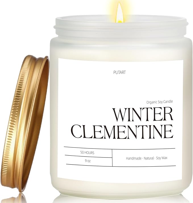 Winter Clementine Scented Candles for Home, 9oz Natural Soy Wax Aromatherapy Organic Citrus Candle for Stress Relief, Long Burning & Lasting Jar Candle Gifts for Christmas, Winter, Holiday