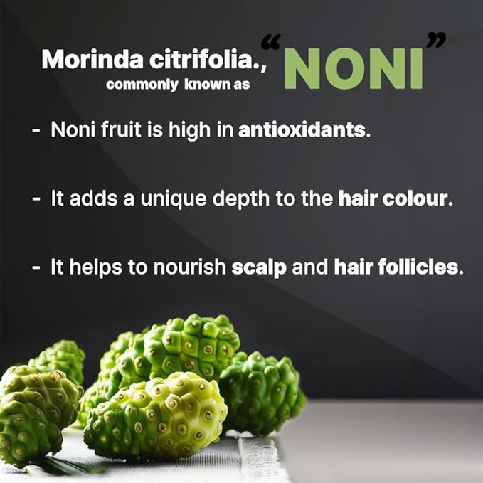 BSY Noni Hair Color Shampoo - 6 fl oz - Pump Pack | No Ammonia | 3 in 1 - Hair Dye Shampoo, Conditioner for Women and Men | Natural Black, Permanent Hair Color for Black Hair