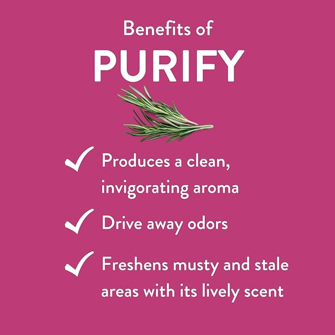 Purify Essential Oil Blend by Revive Essential Oils - REVIVEEO - 100% Pure Therapeutic Grade, for Diffuser, Humidifier, Massage, Aromatherapy, Skin & Hair Care
