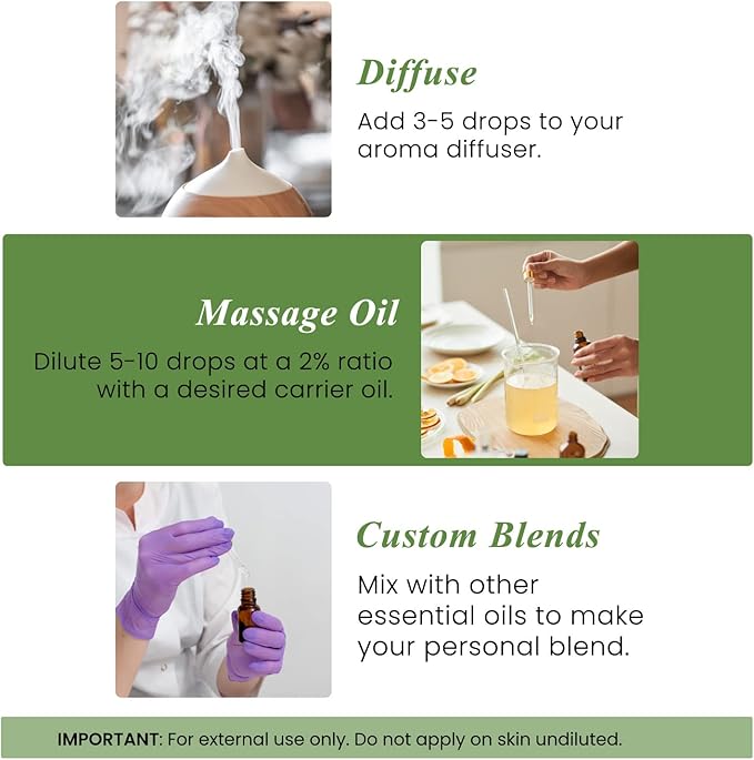 Handcraft Blends Rosemary Essential Oil – Huge 4 Fl Oz – 100% Pure and Natural – Premium Grade Essential Oil for Diffuser and Aromatherapy, Skin, Massage, Candle and Soap Making Fragrance