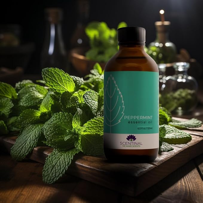 Scentinal Premium Essential Oil - 100% Pure, Natural & Authentic - Extra Large 4oz Bottle (120ml) with Eyedropper - Refreshing Aromatherapy Experience (4 oz / 120ml, Variety Pack)