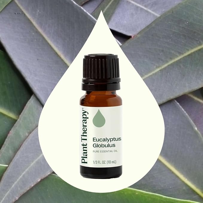 Plant Therapy Eucalyptus Globulus Essential Oil 10 mL (1/3 oz) for Diffuser, Skin, Hair, Aromatherapy DIYs, and Clear Breathing, 100% Pure, Undiluted, Therapeutic Grade