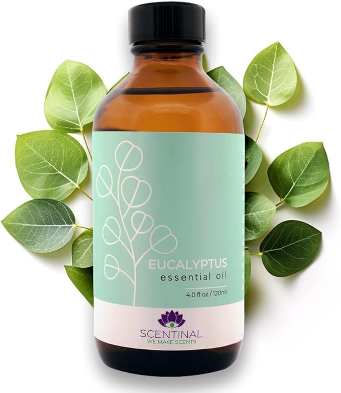 Scentinal Premium Essential Oil - 100% Pure, Natural & Authentic - Extra Large 4oz Bottle (120ml) with Eyedropper - Refreshing Aromatherapy Experience (4 oz / 120ml, Eucalyptus)