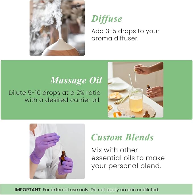 Handcraft Blends Basil Essential Oil – 0.33 Fl Oz – Pack of 2 – 100% Pure and Natural – Premium Grade Essential Oil for Diffuser and Aromatherapy, Skin, Massage, Candle and Soap Making Fragrance