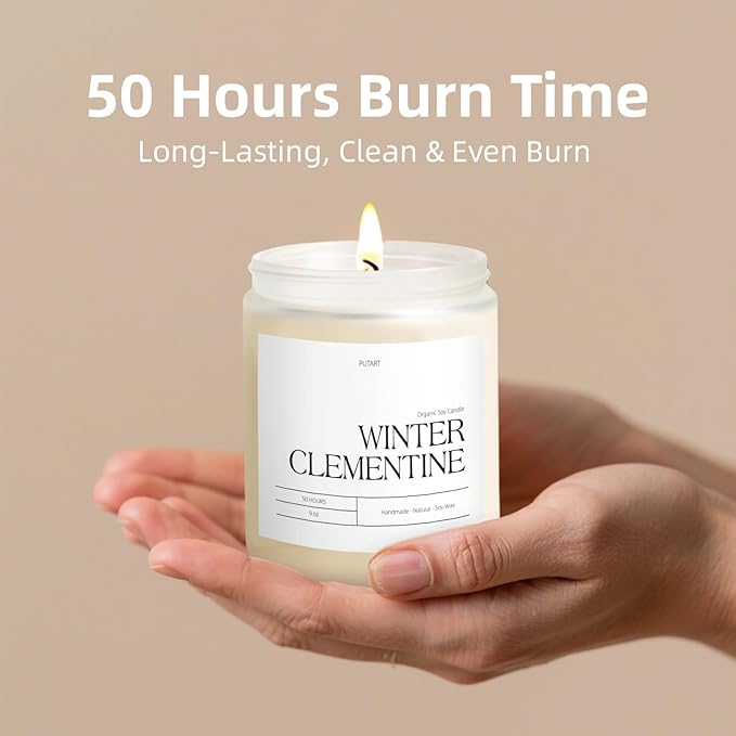 Winter Clementine Scented Candles for Home, 9oz Natural Soy Wax Aromatherapy Organic Citrus Candle for Stress Relief, Long Burning & Lasting Jar Candle Gifts for Christmas, Winter, Holiday