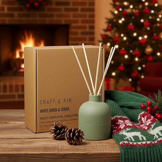 Craft & Kin Christmas Reed Diffuser for Home & Bathroom – White Birch & Cedar Holiday Reed Diffuser Set with Fragrance Sticks, Long-Lasting Alcohol-Free Winter Scent, Earthenware Collection, 6.7oz