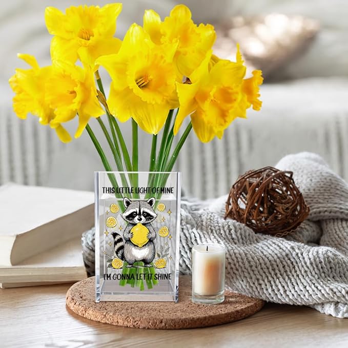 This Little Light Of Mine I'm Gonna Let It Shine Acrylic Cosmetic Pencil Pen Holder Cup, Funny Raccoon Lemon Pen Holder Cup, Raccoon Lover Gifts, Mental Health Gifts for Women Colleague Teacher