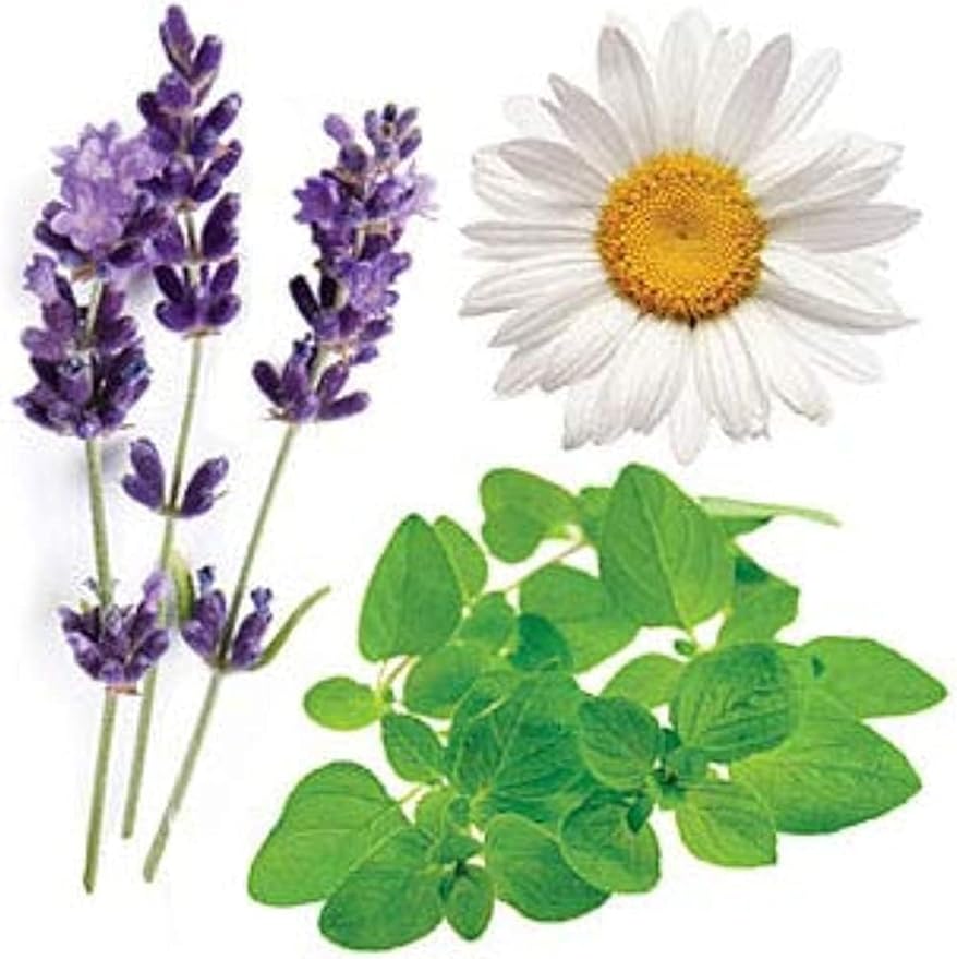 doTERRA Serenity Essential Oil Restful Blend - 15 ml