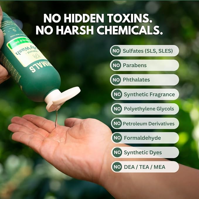 PRIMALS Natural Body Wash - Aloe Vera, Raw Honey, Green Tea - Natural Ingredients - Zero Artificial Fragrances, Sulfates, Parabens, or Dyes - 13.5 Fl Oz