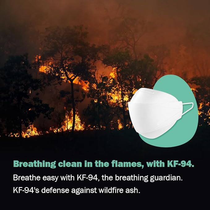 Dr.Puri [20 Pack] New Micro-Dust Protection Kids Face Premium Mask (KF94) Black Small