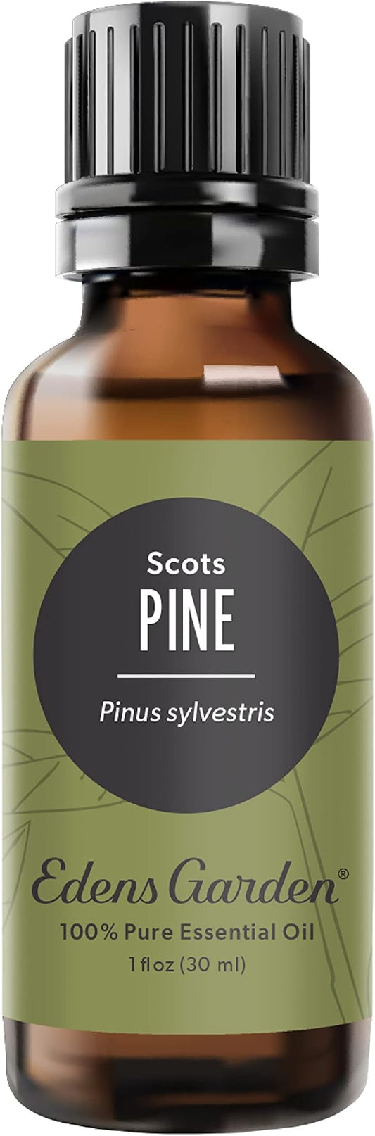 Edens Garden Pine- Scots Essential Oil- 100% Pure Premium Grade, Undiluted, Natural, Therapeutic, Aromatherapy, The Best for Diffuser, Candle, Humidifiers, Kid Safe 30 ml (1 fl oz)