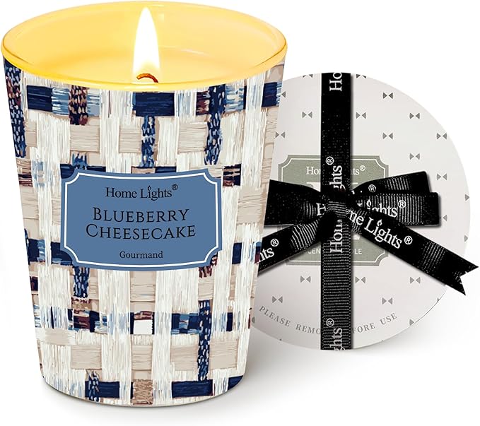 HomeLights Scented Candles for Women & Men, 6.7oz Candle Jars Aromatherapy Single Wick Candle, Ideal for Rustic Modern Home Decor and Gifts, Blueberry Cheesecake