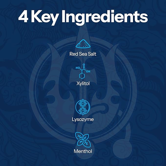 2 Pack H2Ocean Healing Rinse Mouthwash- Great Tasting Sea Salt & Xylitol Mouth Wash for Fresh Breath & Dry Mouth - Alcohol & Fluoride Free - Arctic Ocean Mint 16oz