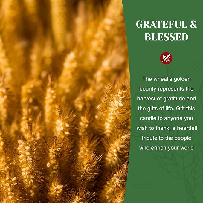 M&SENSE Holiady Scented Candle Gift for Women and Men - Lavender Scent, 10 oz Soy Wax, Gift for Thanksgiving, Mother's Day, Father's Day, and Teacher