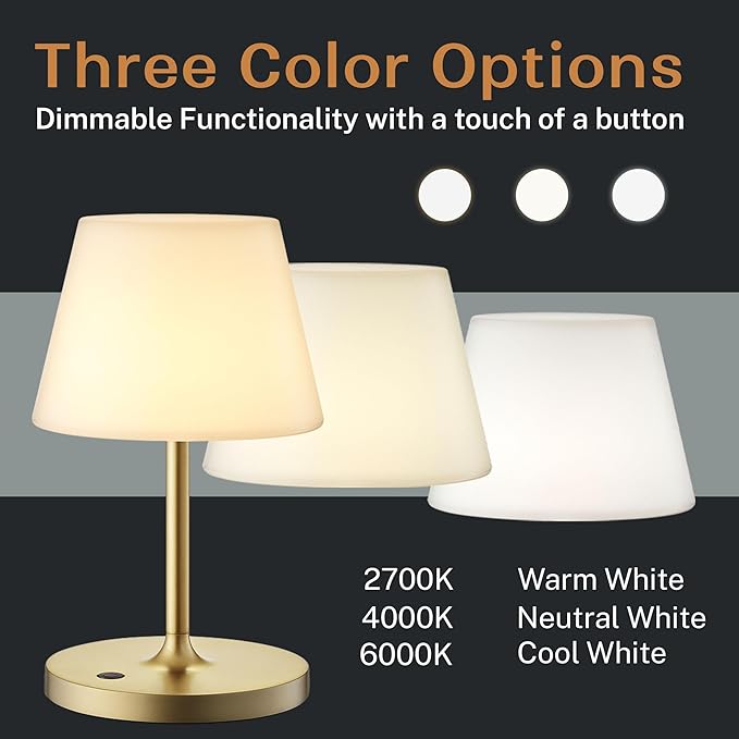 Cordless Lamp, 5000mAh Battery Operated Rechargeable Table Lamp with Power Bank, Touch Dimmable 3 Color Temperatures, IP44 Waterproof Shower Lamp for Kitchen, Bathroom, Indoor Or Outdoor Use 9.6in