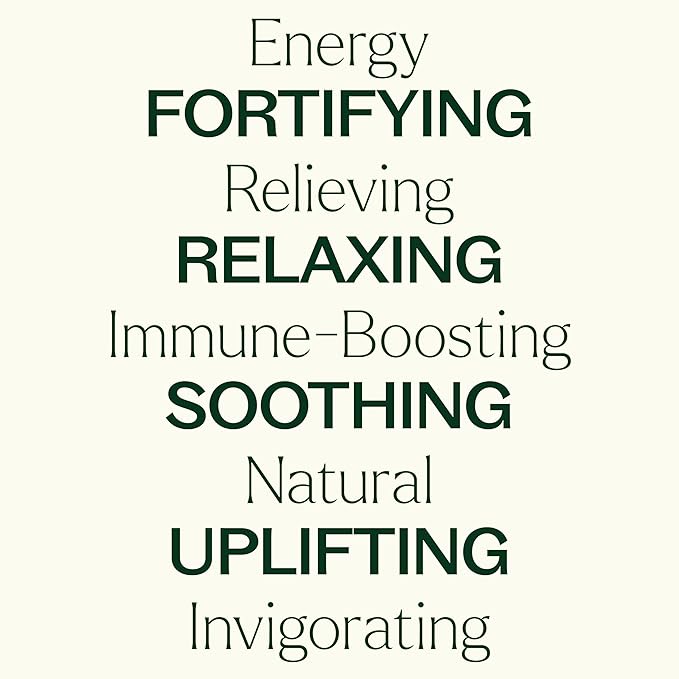 Plant Therapy Essential Oil Blends Set, Top 6 Most Popular, 100% Pure, Undiluted, Natural Aromatherapy, Therapeutic Grade, 10 mL