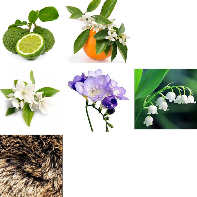 Rachel Zoe Instinct - 0.34 oz Eau de Parfum Mini Spray - Perfectly Balanced Feminine Perfume for Women - Awaken the Senses with a Lasting Signature Designer Scent